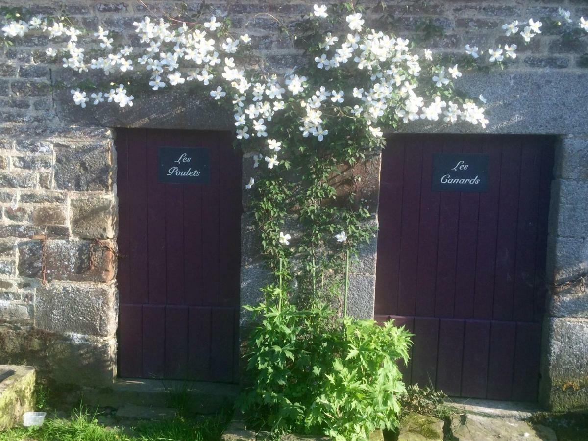 La Crepelliere Bed & Breakfast Villedieu-les-Poeles Exterior photo